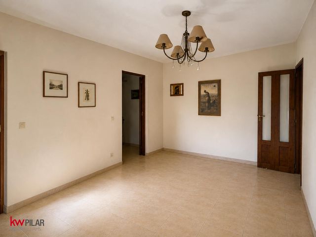 place photo 50