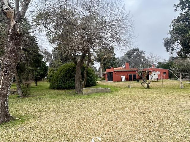 place photo 26