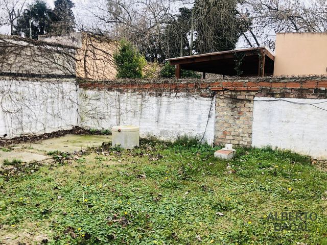 place photo 36