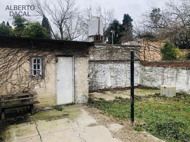 place photo 37