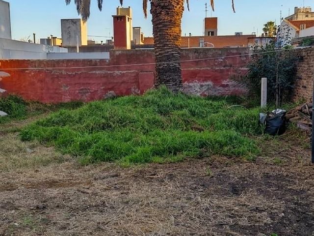 place photo 6