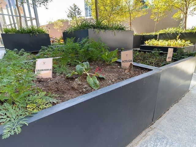 place photo 43