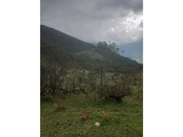 place photo 49