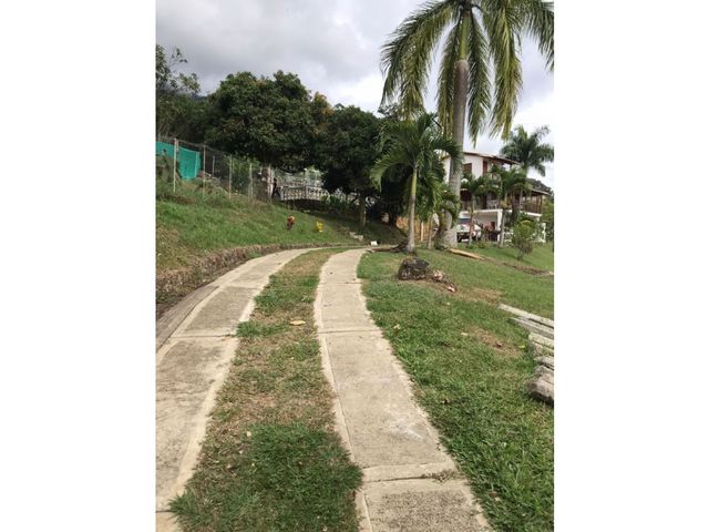 place photo 40