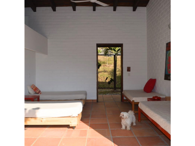 place photo 14