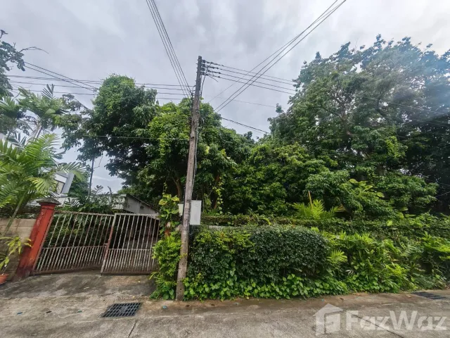 place photo 67