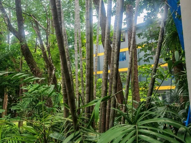 place photo 43