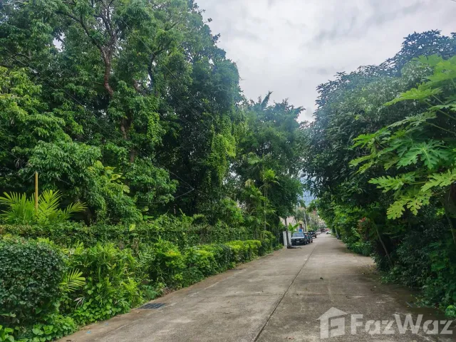 place photo 66