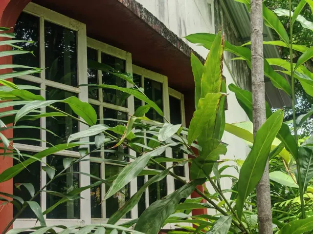place photo 30