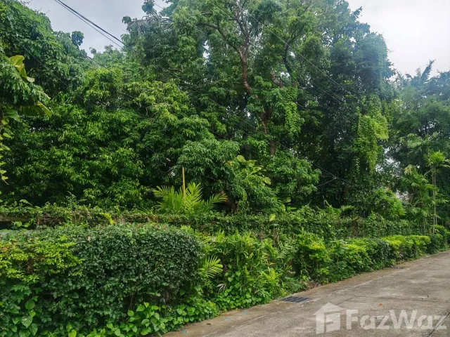 place photo 64