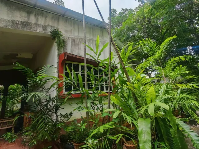 place photo 36