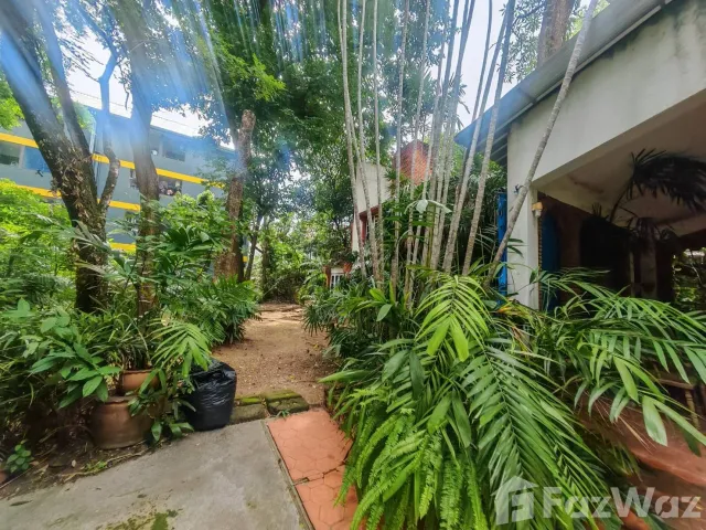 place photo 34