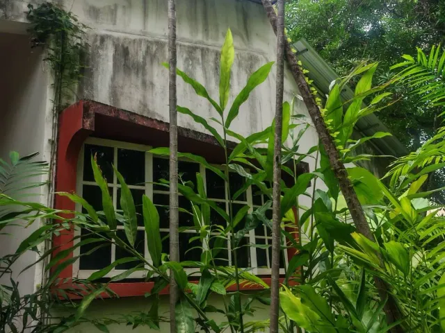 place photo 37