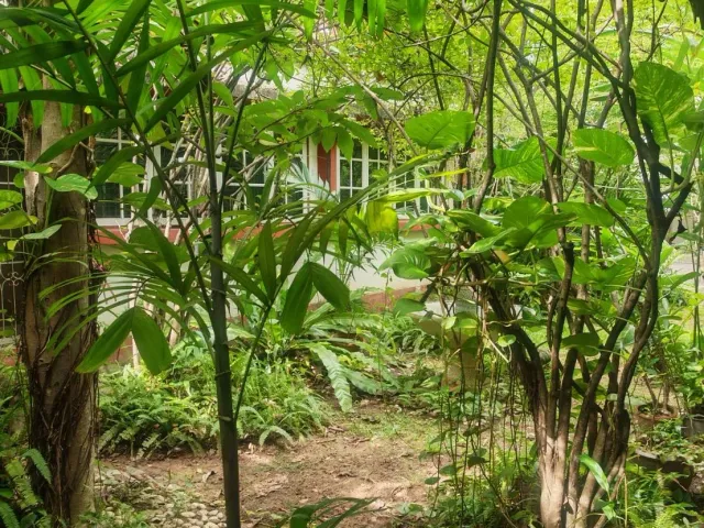 place photo 28