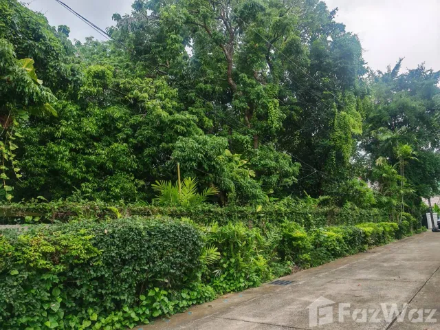 place photo 65