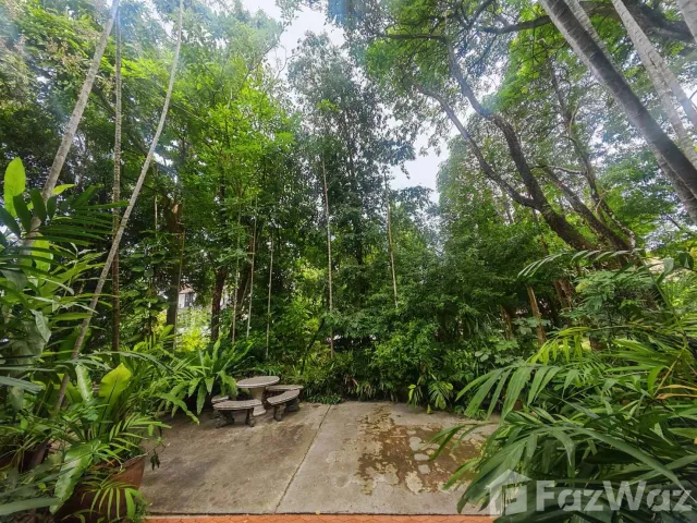place photo 40