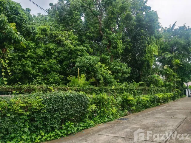 place photo 68