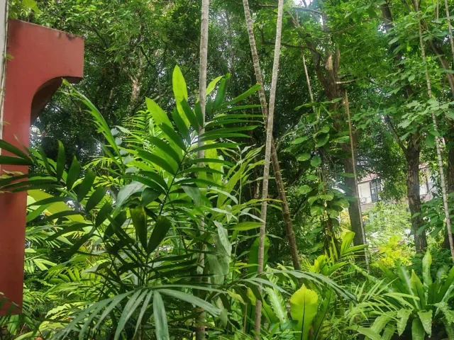 place photo 41
