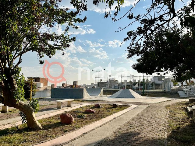 place photo 21