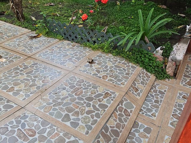 place photo 28