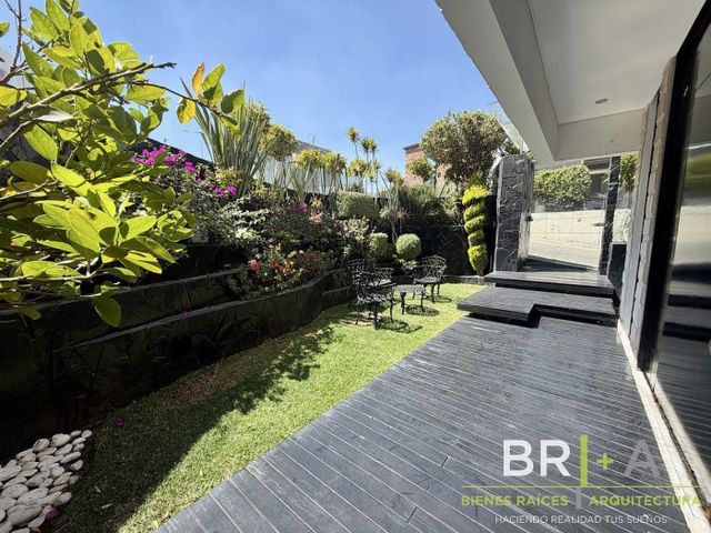 place photo 43