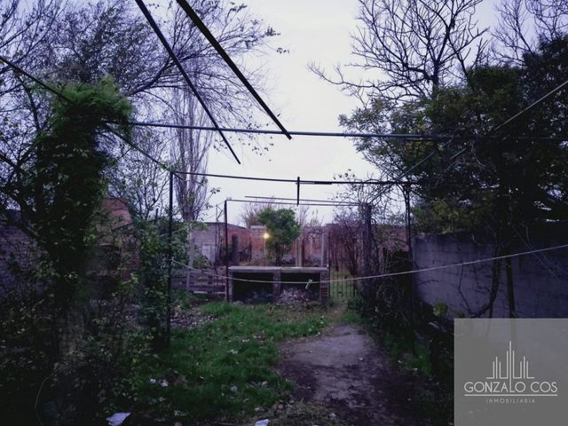 place photo 4