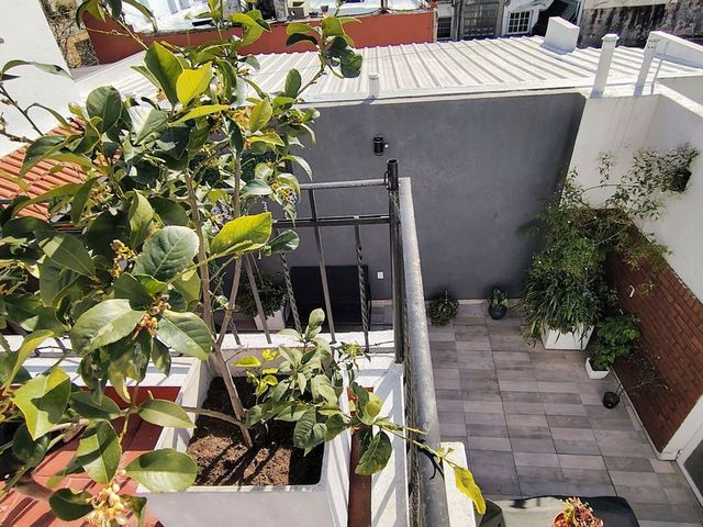 place photo 60
