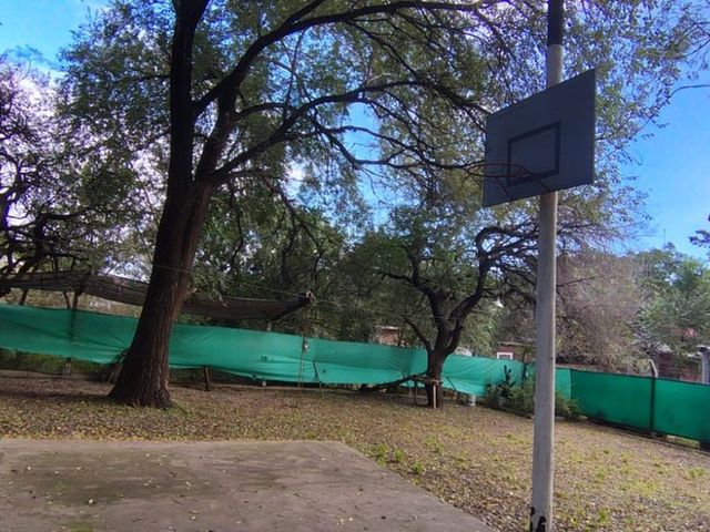place photo 37