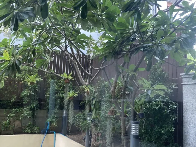 place photo 42