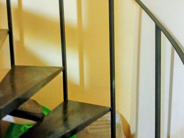 place photo 46
