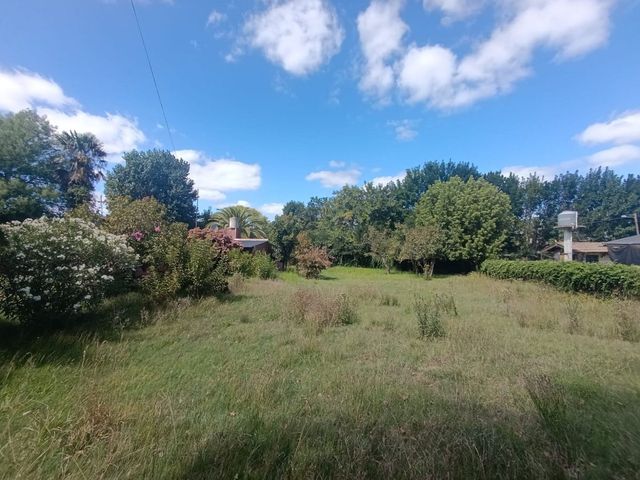 place photo 22