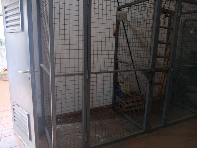 place photo 29