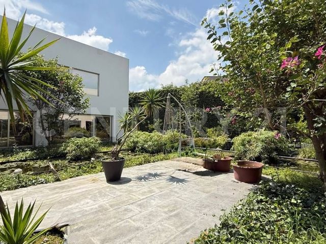 place photo 47