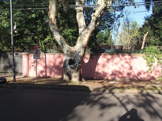 place photo 41