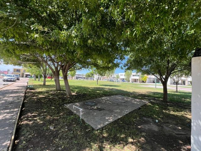 place photo 17