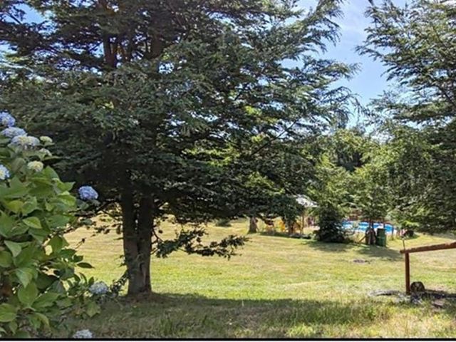 place photo 21