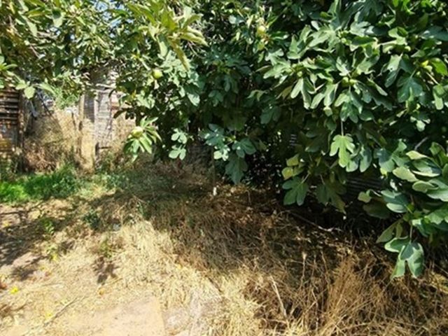 place photo 30