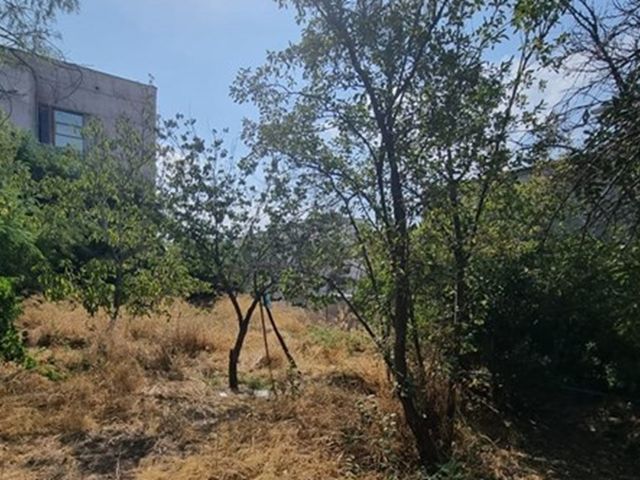 place photo 32