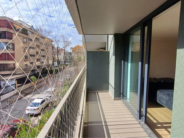 place photo 57