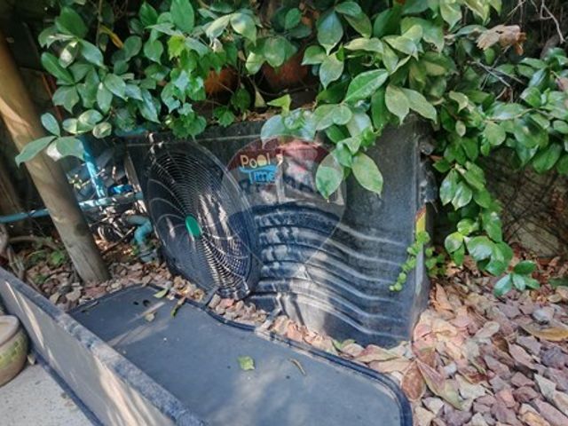 place photo 29