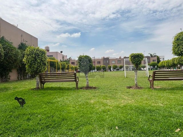 place photo 25