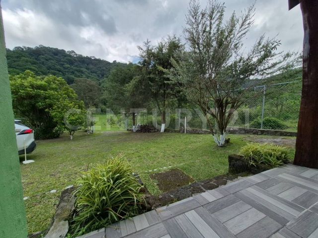 place photo 46