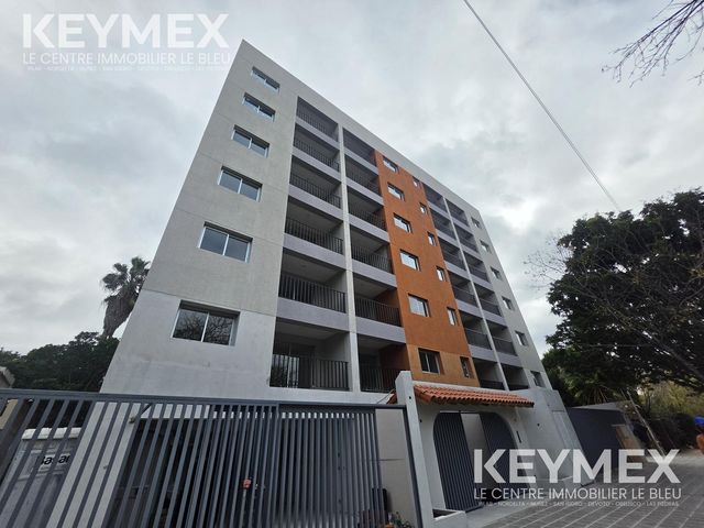 place photo 24