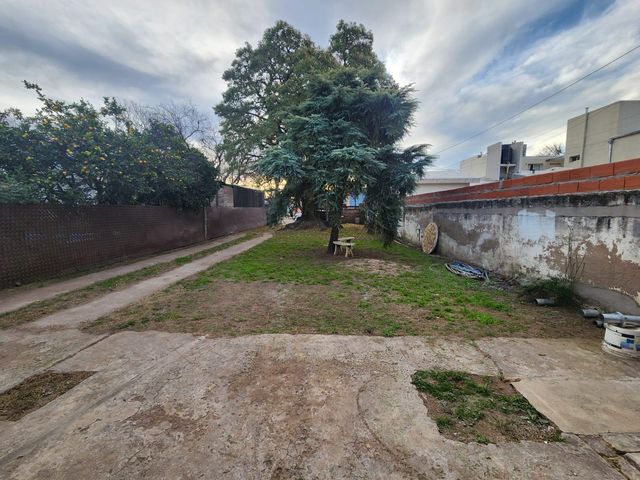 place photo 15