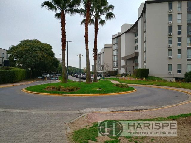 place photo 41