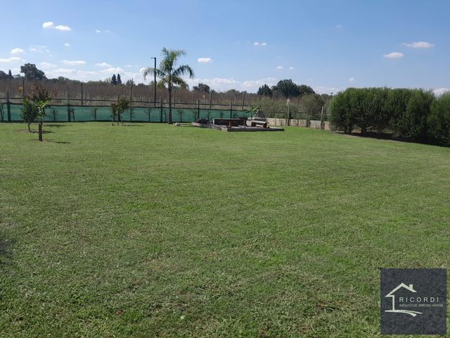 place photo 30