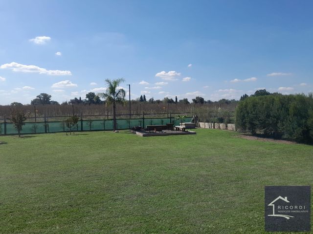 place photo 28
