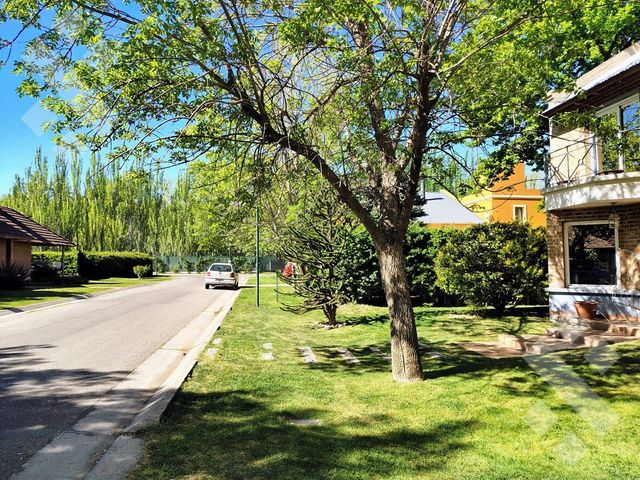 place photo 49