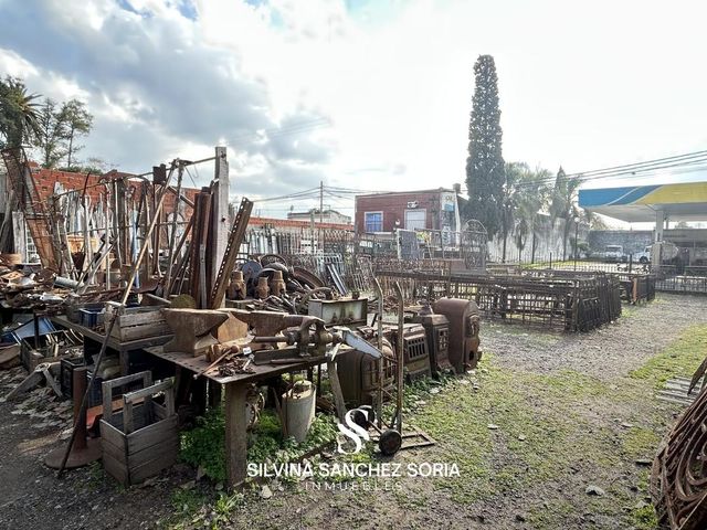 place photo 12
