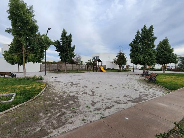 place photo 42